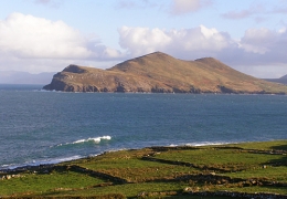 Doulus Head: View north from the Coastguard Patch